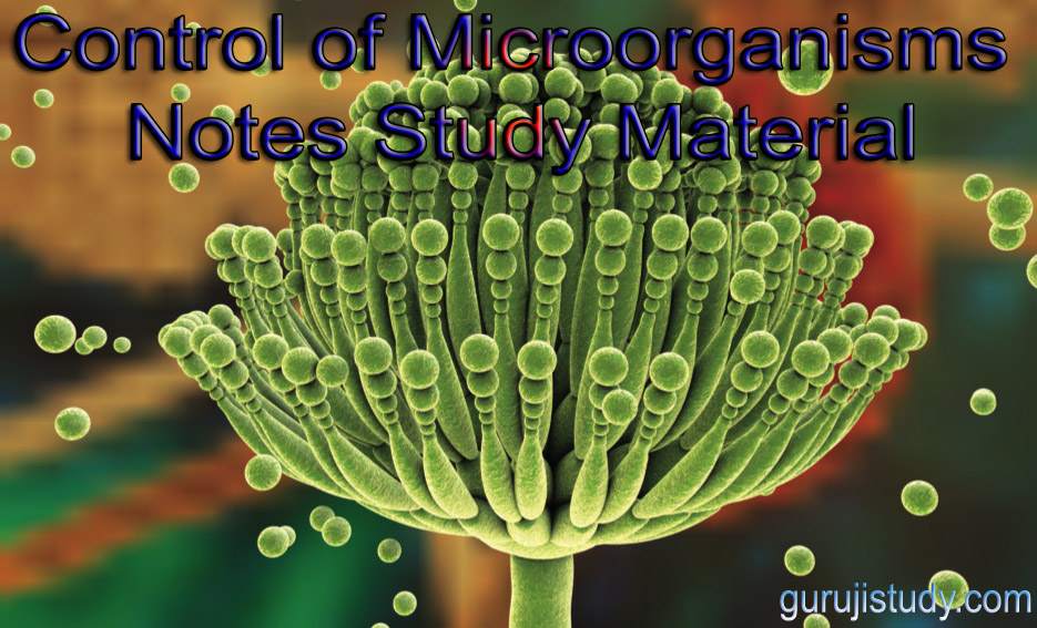 BSc Control of Microorganisms Notes Study Material
